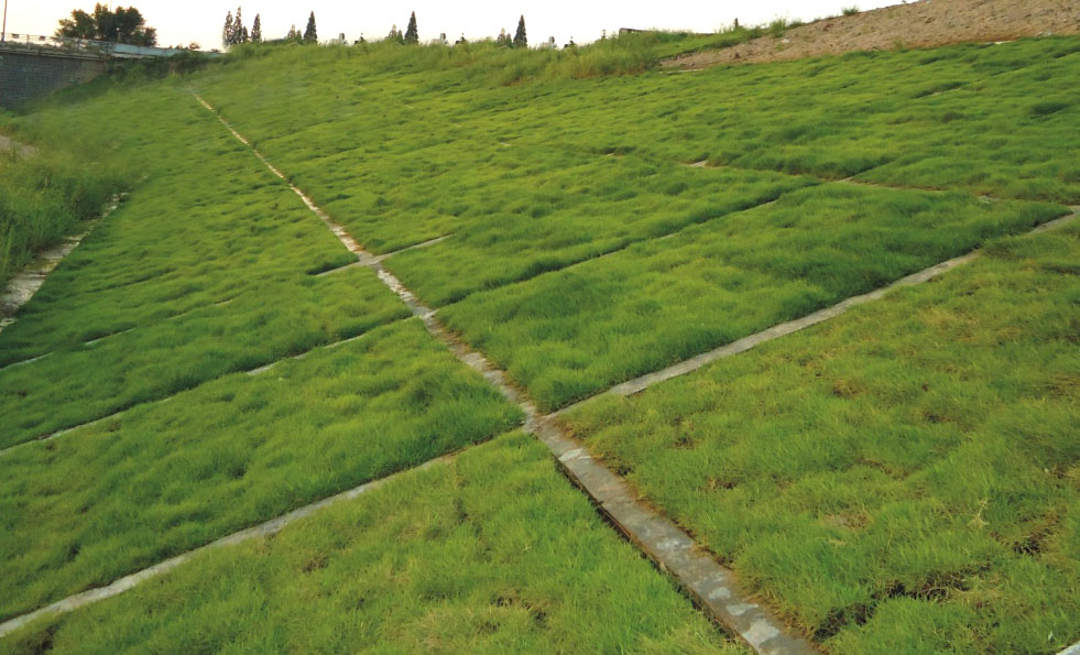 生態(tài)護(hù)坡