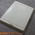 電力集團(tuán)專(zhuān)用水泥蓋板模具