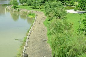 河道生態(tài)護(hù)坡的植被與水土保持原理